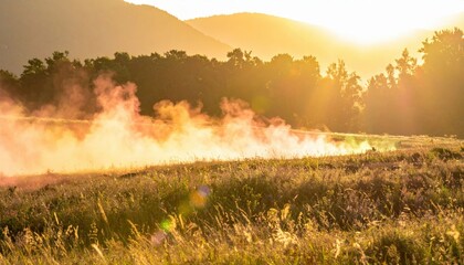 Golden Sunset Over a Field with Smoke