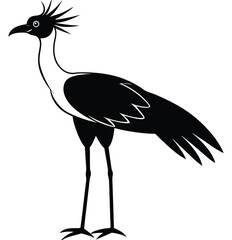 Fototapeta premium a secretary bird standing tall with long legs