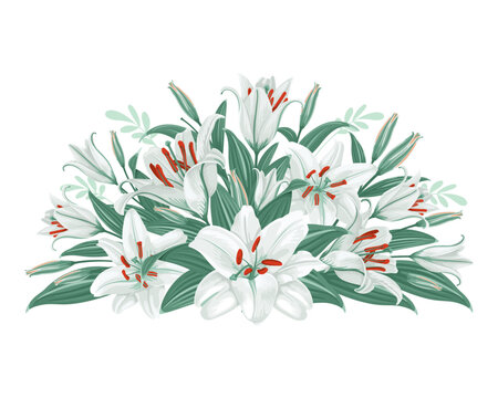 Floral decorative design element, vignette with white lily flowers. Decor, floral composition with daylily, flowers, leaves and buds isolated on a white background. Vector illustration