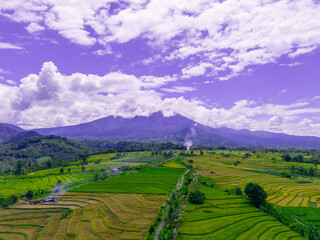 Fototapeta premium beautiful morning view indonesia panorama landscape paddy fields with beauty color and sky natural light