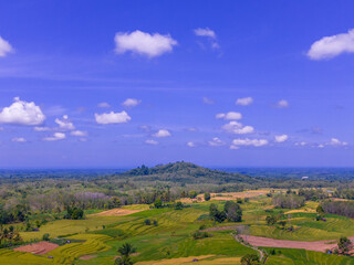 beautiful morning view indonesia panorama landscape paddy fields  with beauty color and sky natural light