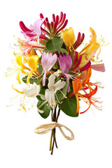 Vibrant Honeysuckle Bouquet A Colorful Collection of Summer Blooms