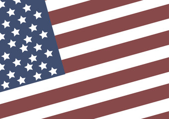 USA flag in style vector