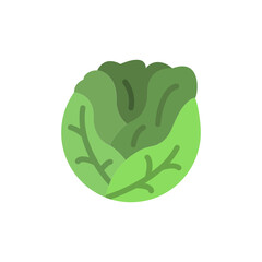 Stylized flat green lettuce head illustration, healthy eating concept icon