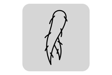 Simple line drawing of herb used in alternative medicine. Plant with distinct elongated leaves, symbolizing natural healing