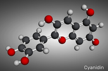 Cyanidin molecule. Cationic anthocyanidin pigment found in berries and plants. Molecular model. 3D rendering