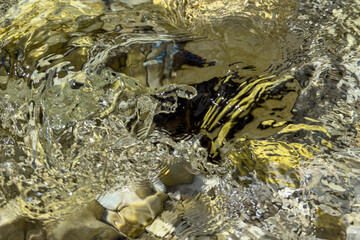 golden underwater stones with shimmering ripples and soft light reflections creating an abstract and organic texture