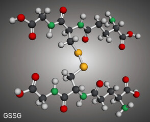 Glutathione disulfide, GSSG molecule. Oxidized form of glutathione antioxidant. Molecular model. 3D rendering