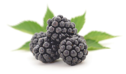 Closeup shot of fresh blackberries.