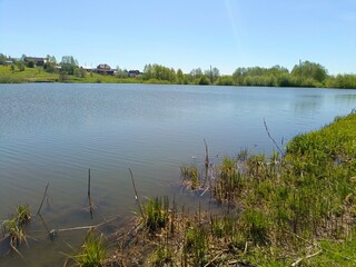Tranquil Pond Scene With Greenery 