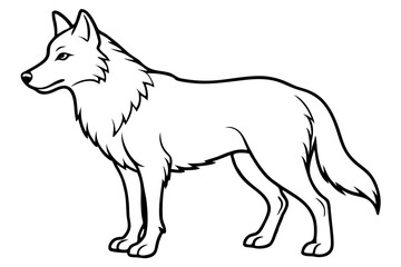 wolf silhouette line art vector illustration with a white background