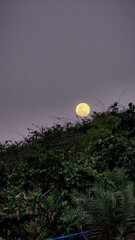 moon over the sea