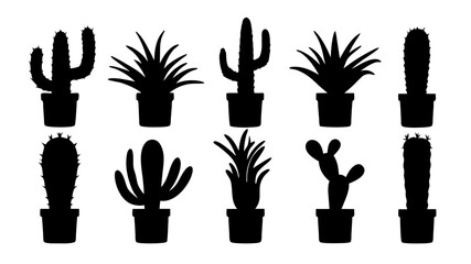 Cactus in pots silhouette