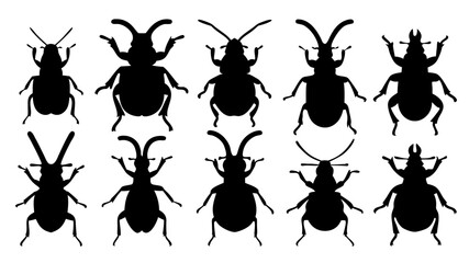 Set of Beetle Silhouettes.