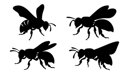 Set of bee silhouettes black