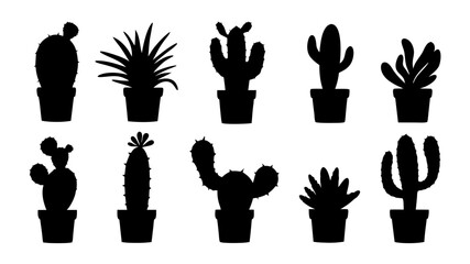Cactus in pots silhouette