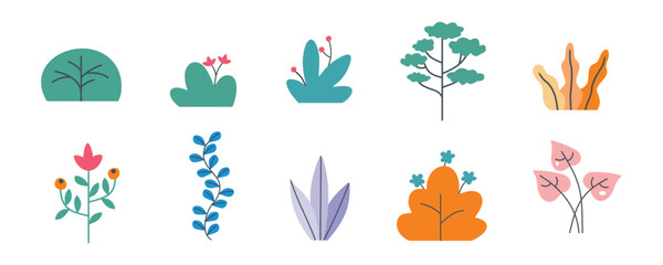 Floral Illustration Set