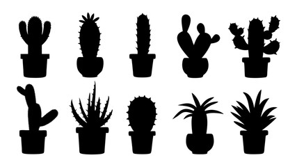 Cactus in pots silhouette