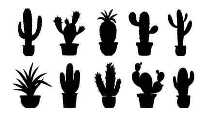 Cactus in pots silhouette