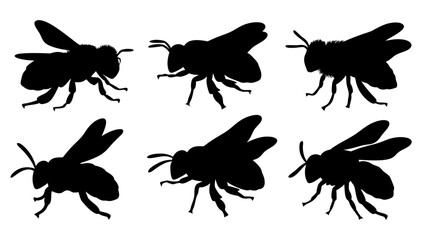 Set of bee silhouettes black