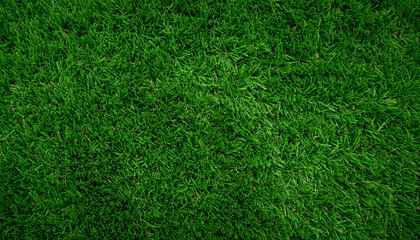 Obraz premium Green Grass Background – Lush Football Field Texture for Sports and Outdoor Design
