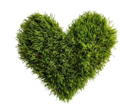 Green heart shape made of grass for nature appreciation on a transparent background, cut out - Powered by Adobe