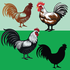Colorful Rooster Silhouettes and Vector Illustrations Set – Farm Animal Clipart for Branding, Logo, and Design