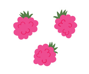 raspberry cute hand-drawn set, cartoon flat style isolated on white background