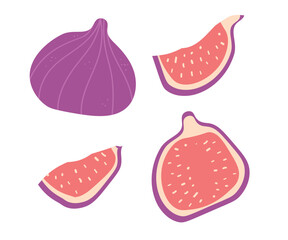 Vector fig fruit whole, piece and slice. Flat cartoon design isolated on white