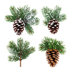 Fototapeta premium Snowy Pinecones Adorned with Glistening Needles on Green Twigs, Isolated on Transparent Background