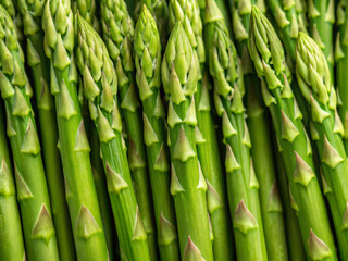 green bamboo background. food, vegetable, bamboo, asparagus, nature, plant, organic, market, fresh, healthy, bunch, leaf, forest, vegetables, garden, tropical, agriculture, tree, vegetarian, ingredien