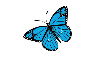 
Butterfly isolated on white background. Isolated bright insects symbolizing nature beauty on white background. Vector illustration.


