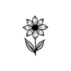 Elegant monochromatic depiction of a floral botanical illustration on white backdrop