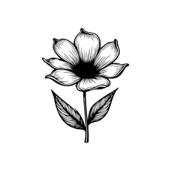 Elegant botanical illustration of a blooming flower with delicate leaf details