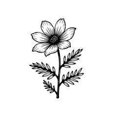 Monochrome Flower Illustration with Stylized Foliage in Detailed Vector Design