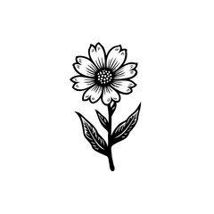 Delicate flower sketch gracefully showcasing nature's charm with artistic simplicity