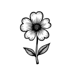 Monochrome floral sketch evoking natural elegance and botanical simplicity