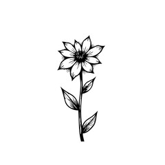 Monochrome floral illustration: A minimalist flower design with delicate details