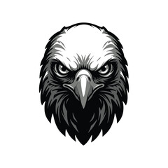 eagle head isolated on white