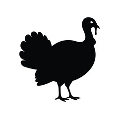 Silhouette of a domestic turkey in black isolated on a white background