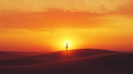 Vibrant sunset illuminating a silhouette of a cactus in the desert landscape