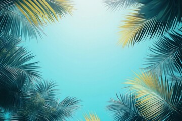 tropical palm tree
