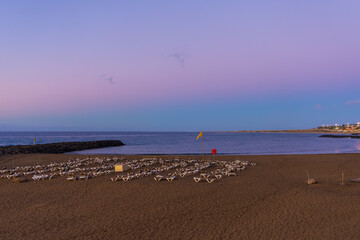 El Veril beach. Evening landscape by the sea in Beverly Park, Relaxia, Gran Canaria, Spain