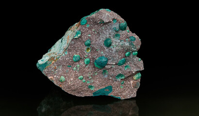 Melaphyre extrusive volcanic igneous rock on black background with reflection. Closeup of mineral stone from vesicular basalt with small green amygdules and origin in northeast Czechia near Nova Paka.