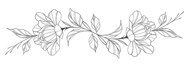 Sketch Floral Botany Collection. flower drawings. Black and white with line art on white backgrounds. Hand Drawn Botanical Illustrations.Vector