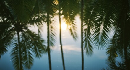 Obraz premium Reflective Sunset Over Tropical Palm Trees