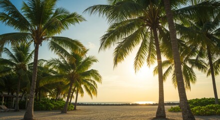 Obraz premium Tropical Beach Sunset with Palm Trees