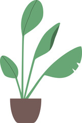 Home plant in flowerpot vector illustration