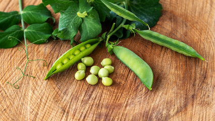Fresh green peas with pods and leaves of the plant lying on rustic brown wood