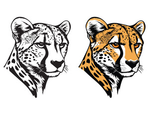 tiger vector illustration